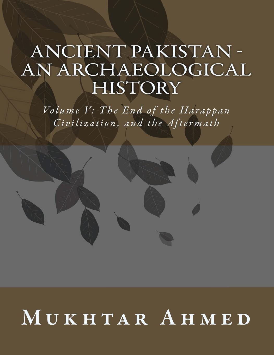 Ancient Pakistan - An Archaeological History: Volume V: The End of the Harappan Civilization, and the Aftermath Politics & History
