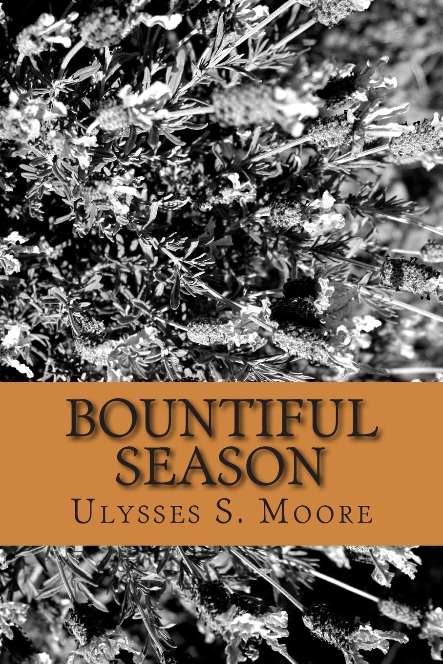 Bountiful Season: Grandpa's Handmade Gifts (Writings by U.S. Moore, Band 1) Politics & History