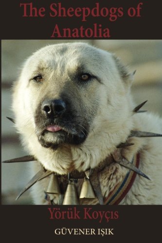 The Sheep Dogs of Anatolia: Yörük Koyçıs Pets
