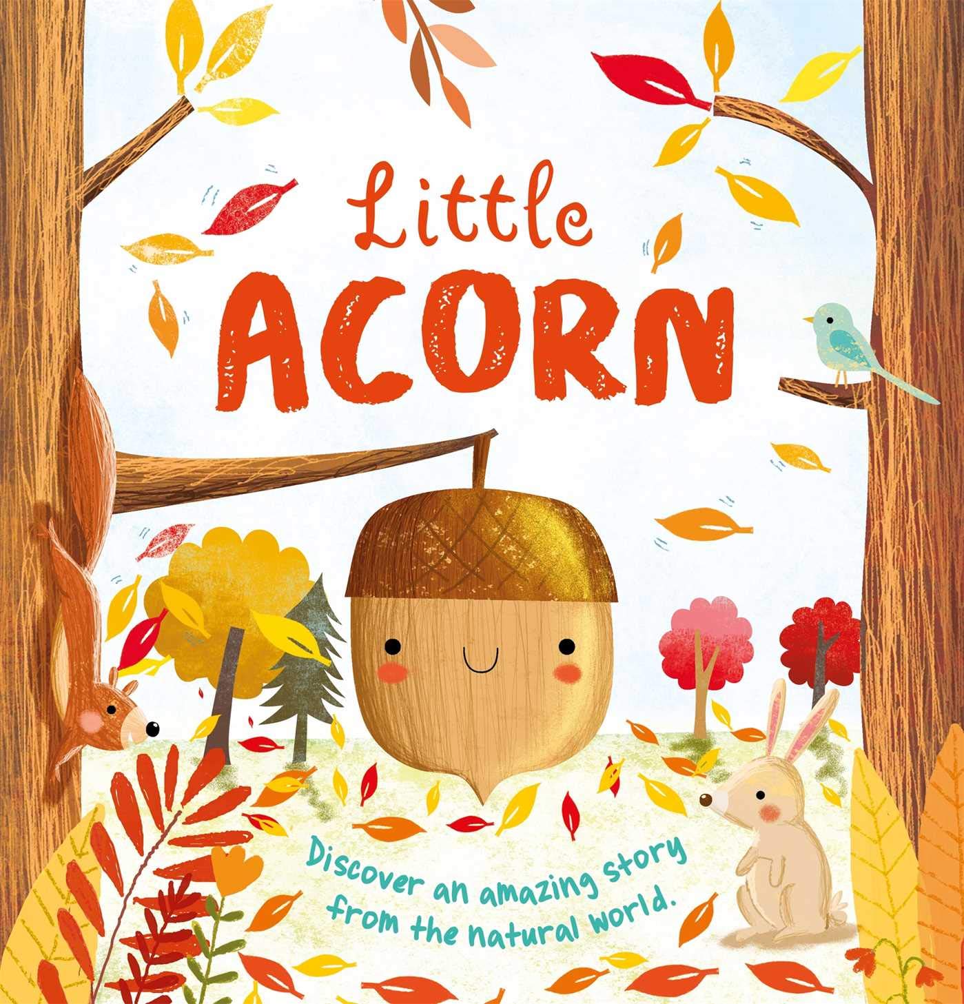 Product Image: Little Acorn