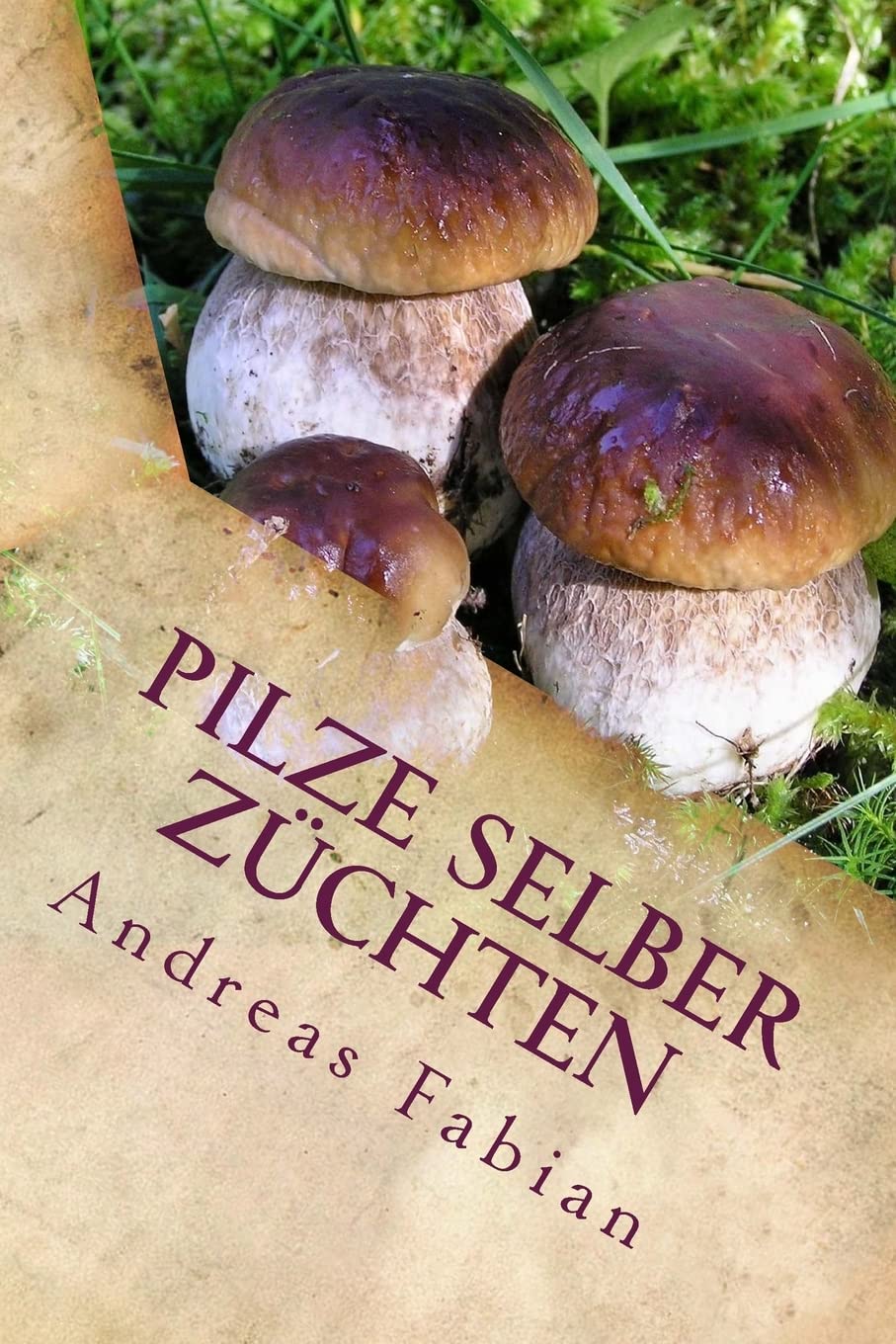 Pilze selber züchten: Von der Anzucht bis in den Topf! Mit leckeren Pilzrezepten! Hobbies & Crafts