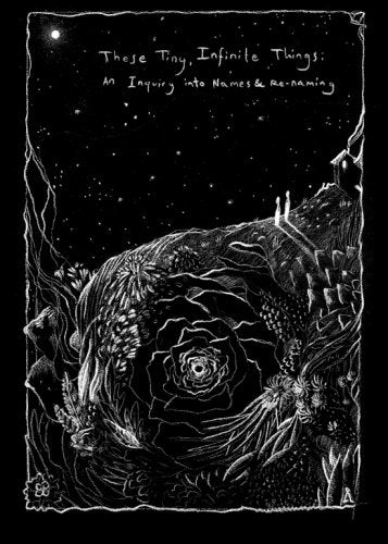 These Tiny, Infinite Things: An Inquiry in to Names & Namins Memories