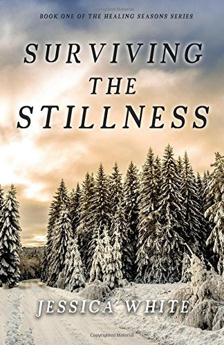 Surviving the Stillness (The Seasons of Healing Series, Band 1) Religion & Esotericism
