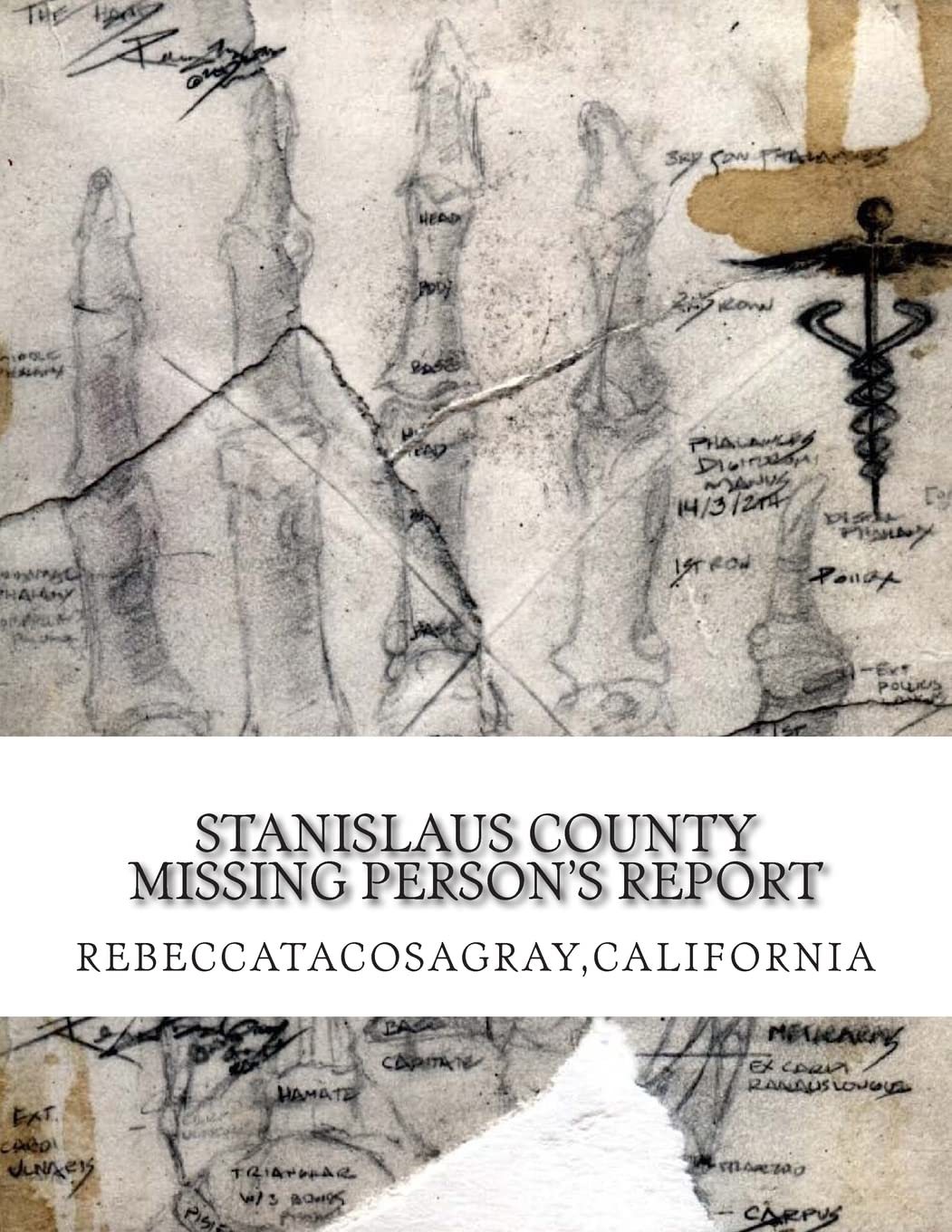 RebeccaTacosaGray,California: Stanislaus County Missing Person's Report (REBECCATACOSAGRAY,CALIFORNIA: PLACE LOCATION EXPERT, Band 2) Politics & Society Books