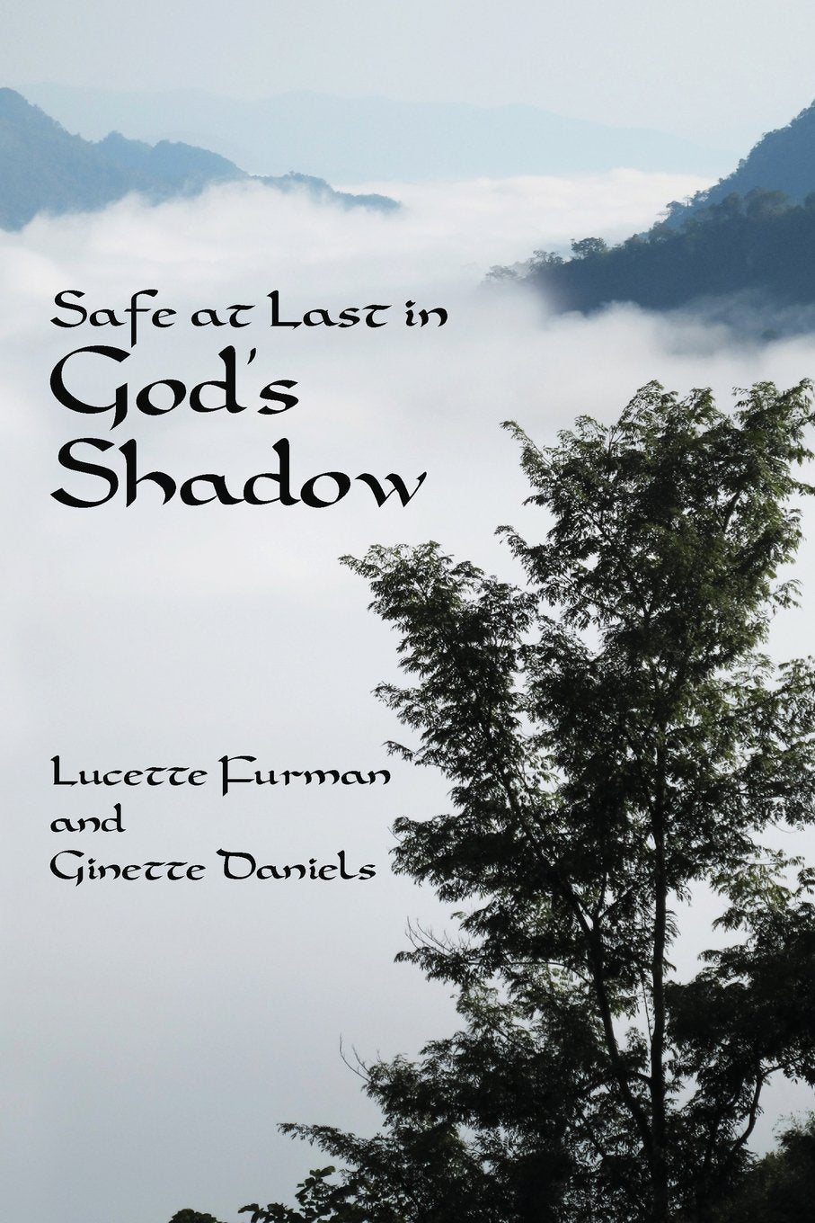 Safe at Last in God's Shadow: A Life in Search of the Divine Politics & Society