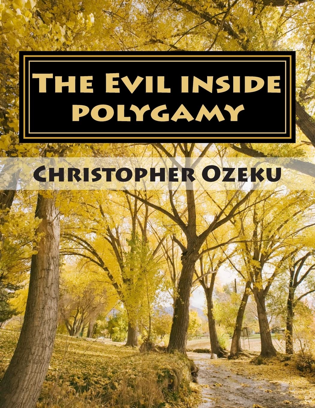 The Evil inside Polygamy: I am writing this book, so that through this book you may have the knowledge of this virus of polygamy. Nothing can be used ... only guarantee of our victory over polygamy. Parents & Children