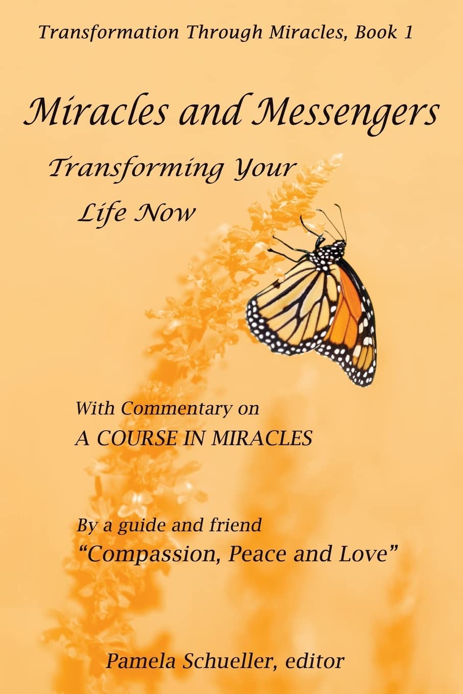 Miracles and Messengers: Transforming Your Life Now, with Commentary on "A Course in Miracles" (Transformation Through Miracles, Band 1) Self-help