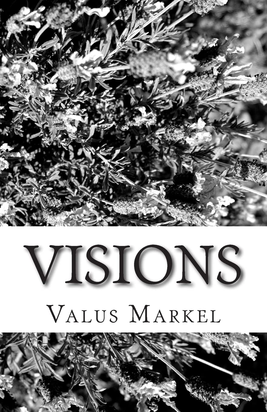 Visions: Homilies and Meditations Religion & Esotericism