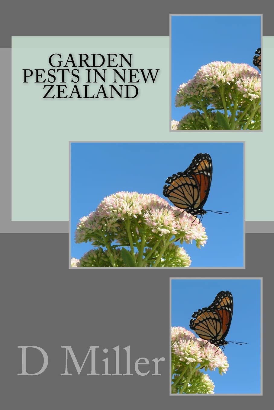 Garden Pests In New Zealand Garden & Plants