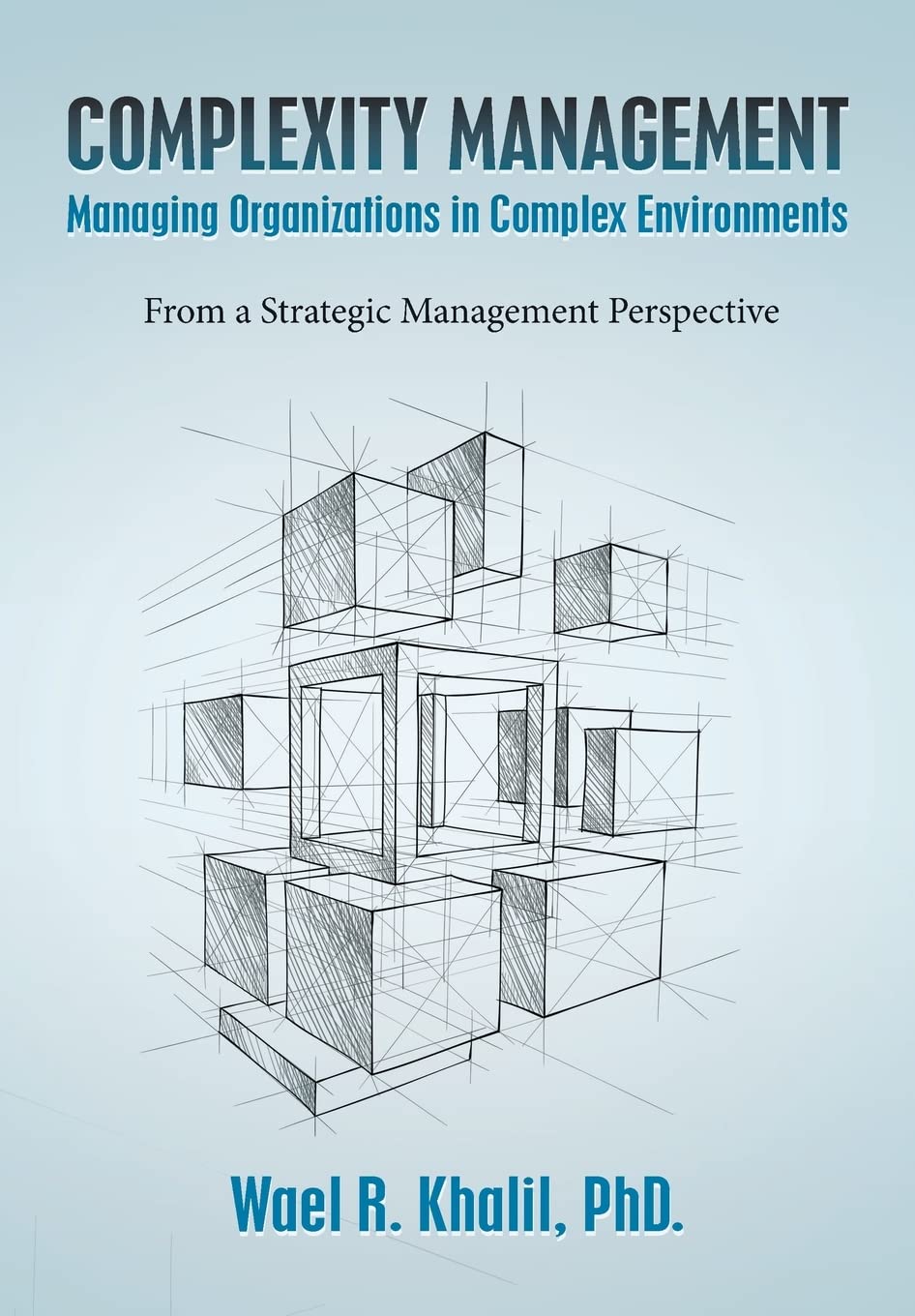 Complexity Management Managing Organizations in Complex Environments: From a Strategic Management Perspective Business, Finance & Career