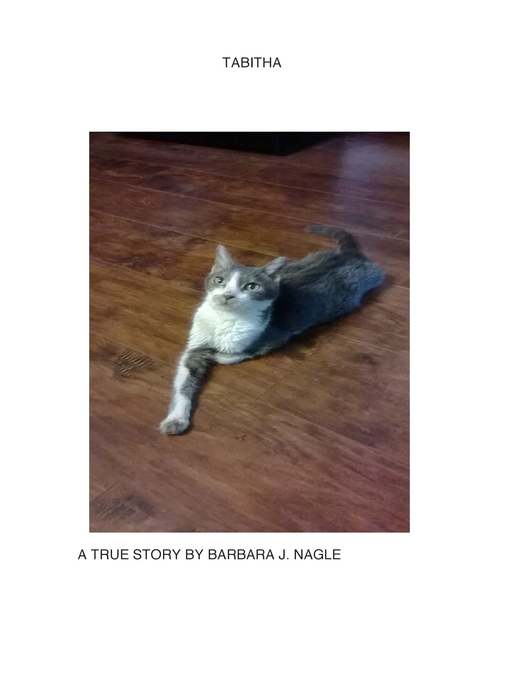 Product Image: Tabitha: A True Story