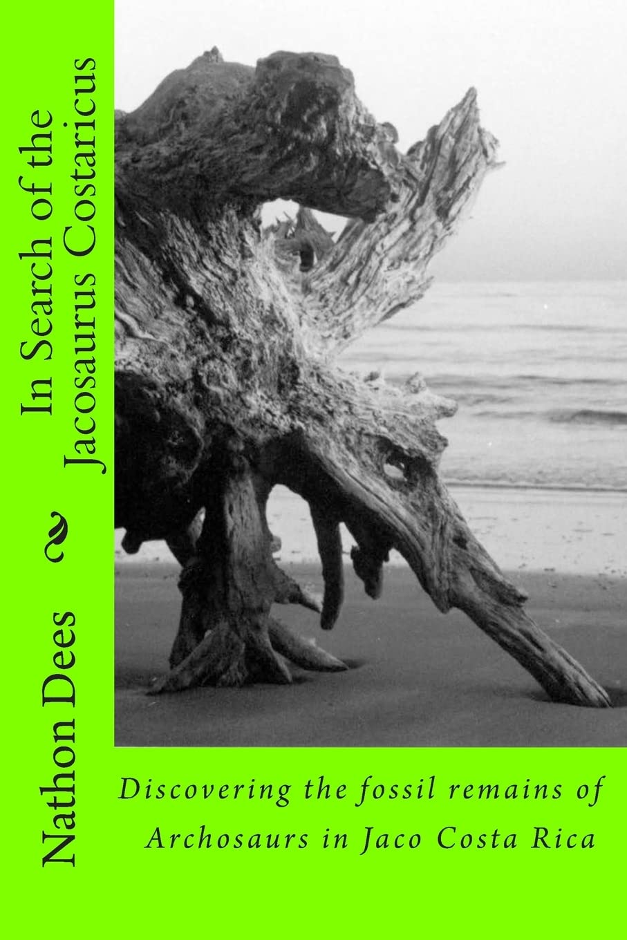 In Search of the Jacosaurus Costaricus: Discovering the fossil remains of Archosaurs in Jaco Costa Rica (The Life and Times of Texas Guitar Legend Nathon Dees, Band 9) Mathematics