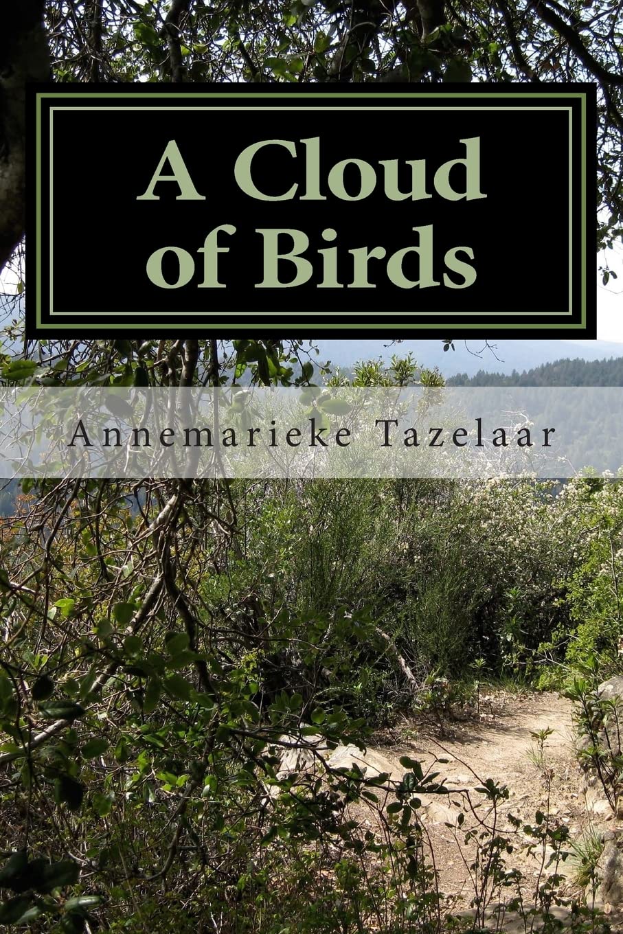 A Cloud of Birds Historical Fiction