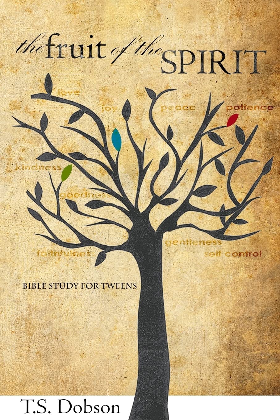 The Fruit of the Spirit: A Bible Study for Tweens (Preteens) Religion & Esotericism