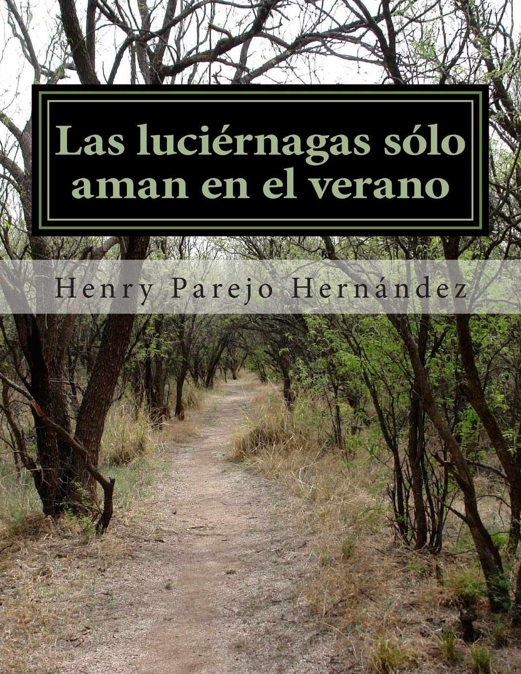 Las luciérnagas sólo aman en el verano Contemporary literature
