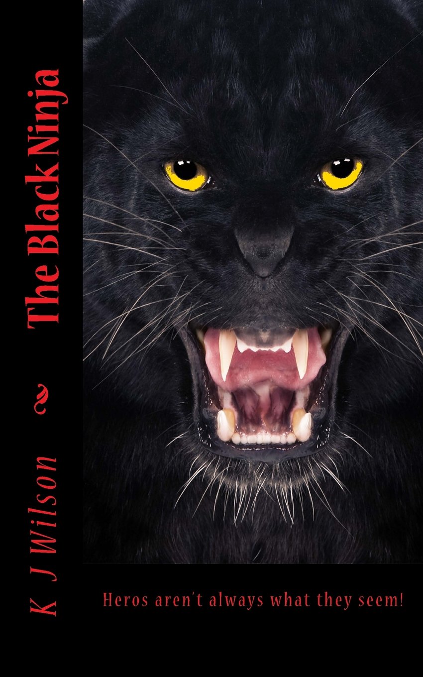 The Black Ninja: Hero's Aren't Always What They Seem! Superheroes