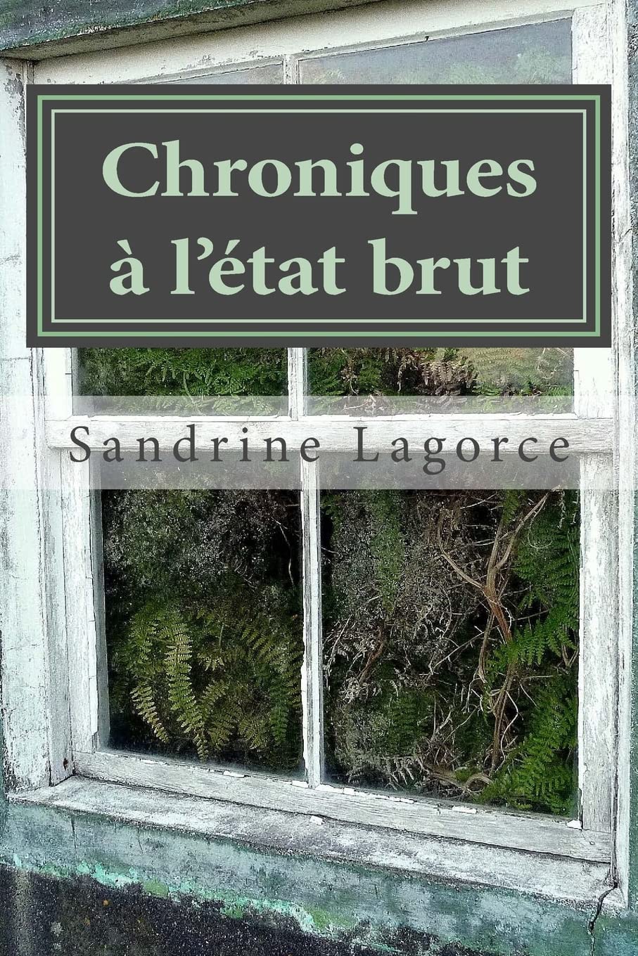 Chroniques à l'état brut book