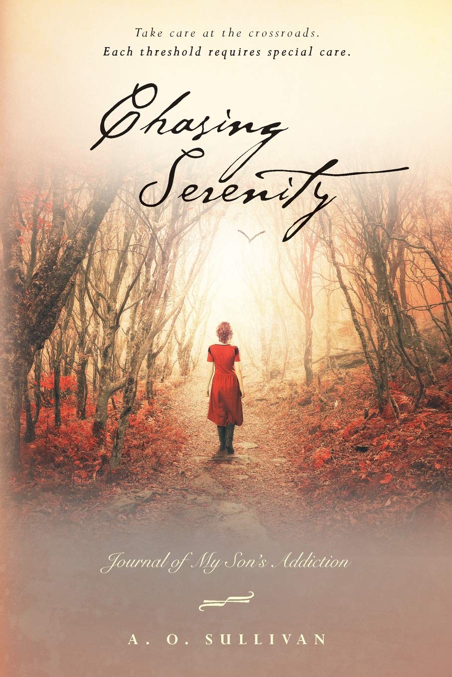 Chasing Serenity: Journal of My Son's Addiction Medicine