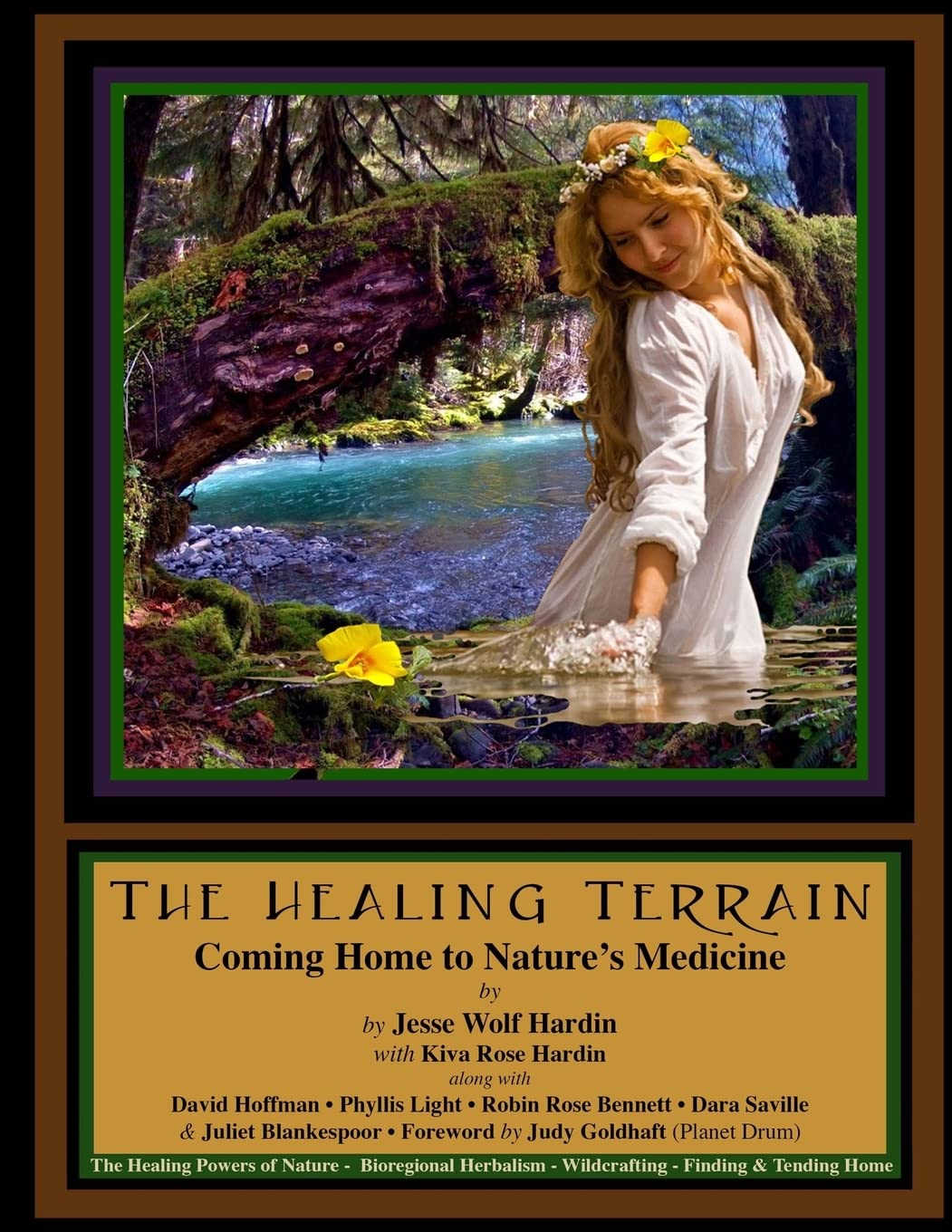 The Healing Terrain: Coming Home To Nature's Medicine Mathematics