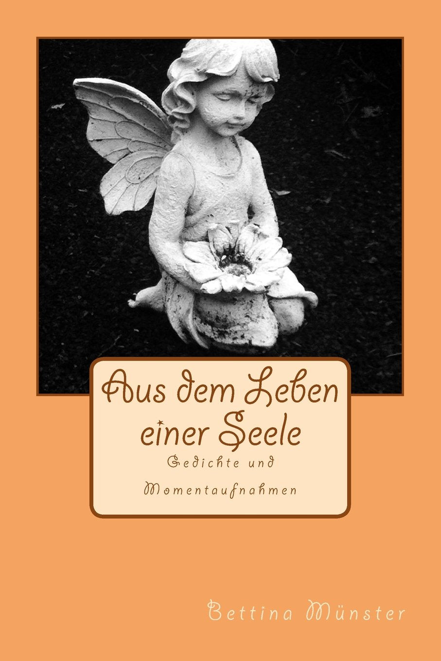 Aus dem Leben einer Seele: Gedichte und Momentaufnahmen Poetry