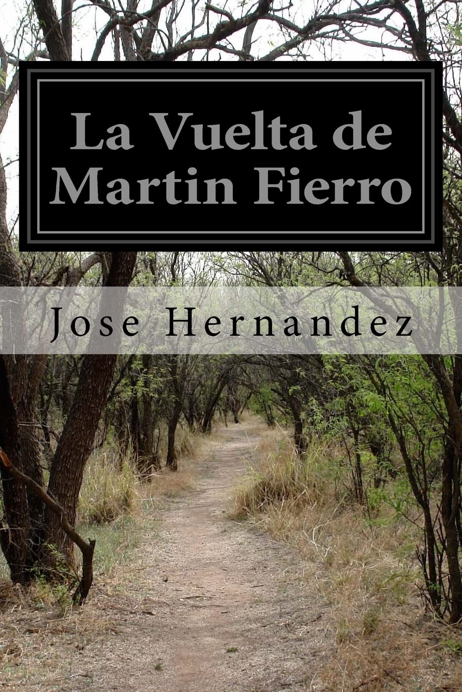 La Vuelta de Martin Fierro book