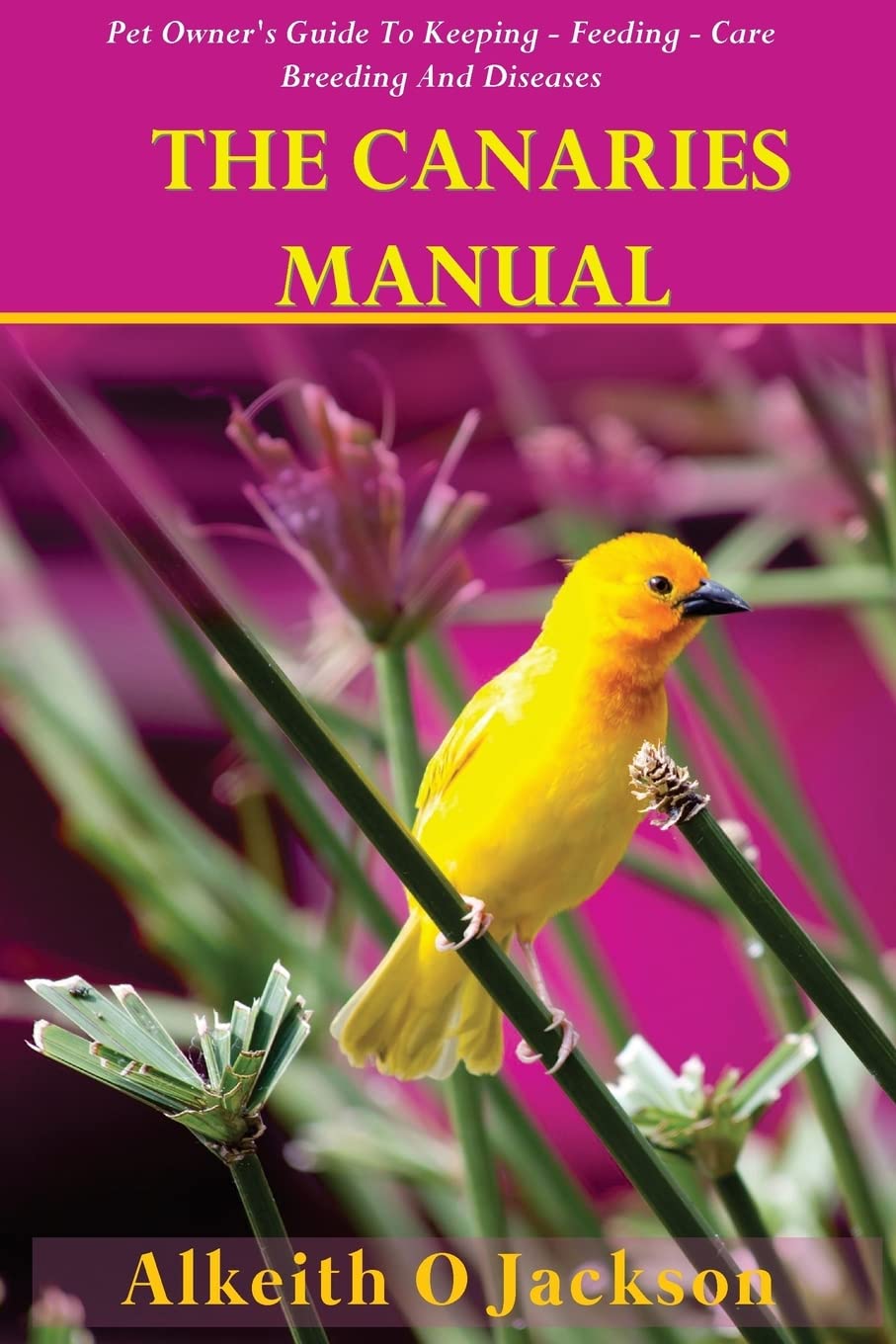 The Canaries Manual: Pet Owner's Guide To Keeping - Feeding - Care - Breeding And Diseases (Pet Birds, Band 1) Pets