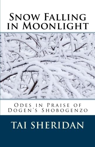 Snow Falling in Moonlight: Odes in Praise of Dogen's Shobogenzo Religion & Esotericism