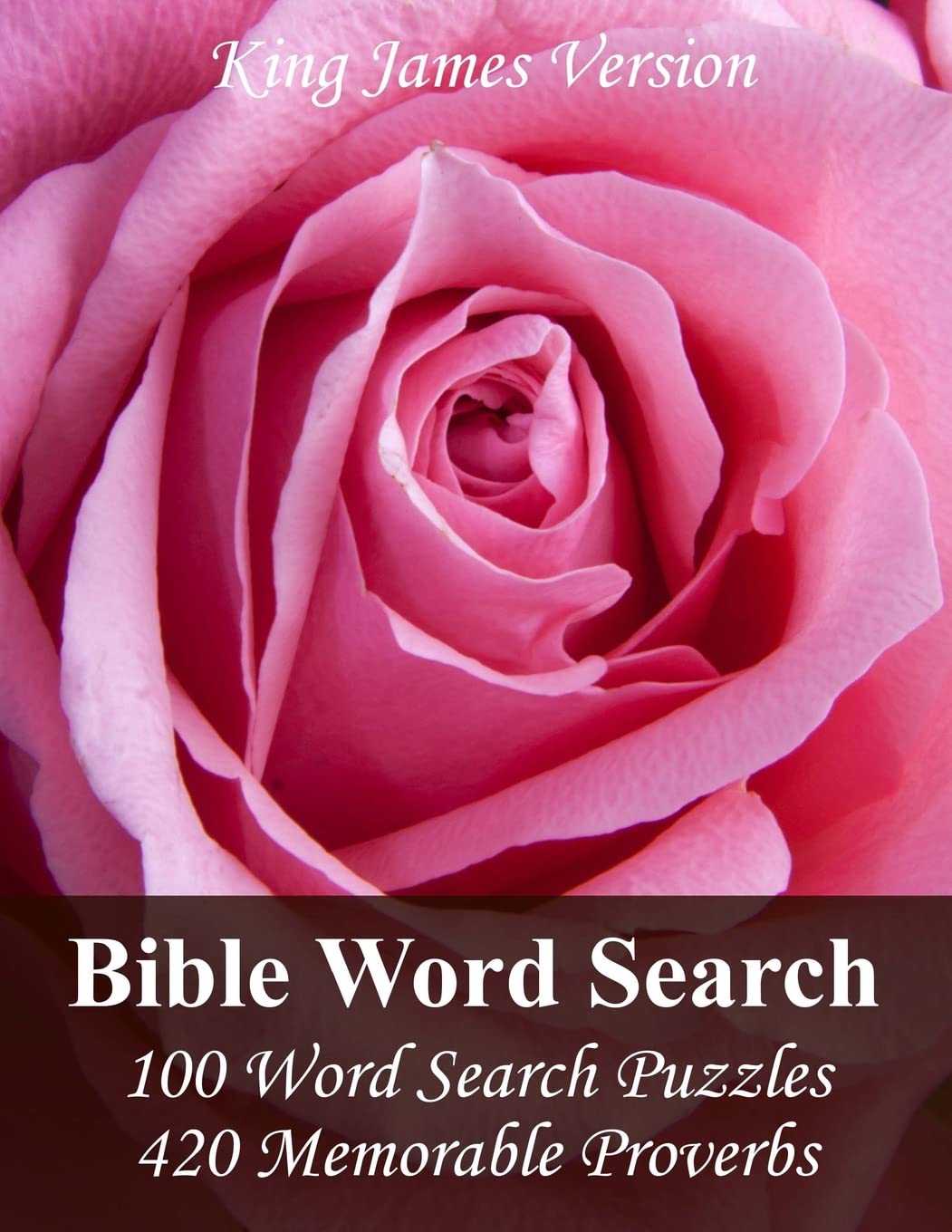 King James Version Bible Word Search: 100 Word Search Puzzles with 420 Memorable Proverbs in Jumbo Print Leisure & Fun