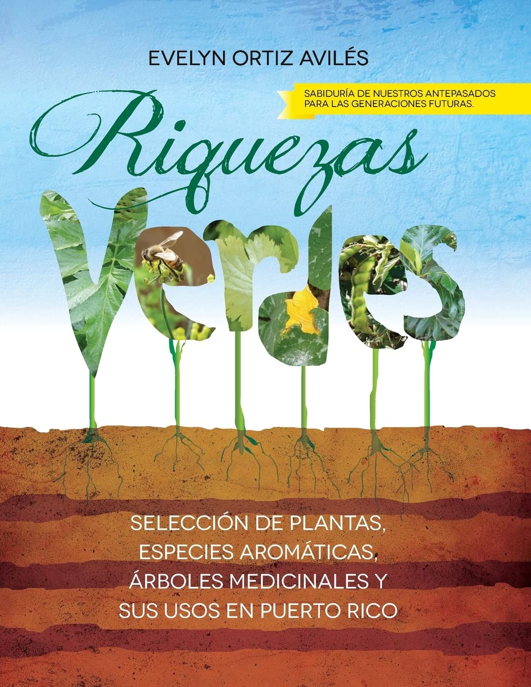 Riquezas Verdes: Seleccion de plantas, especies aromaticas, Arboles medicinales y sus usos en Puerto Rico Mathematics