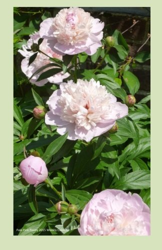 Pale Pink Peony 2015 Weekly Calendar: 2015 week by week calendar with a cover photo of pale pink peonies Mathematics