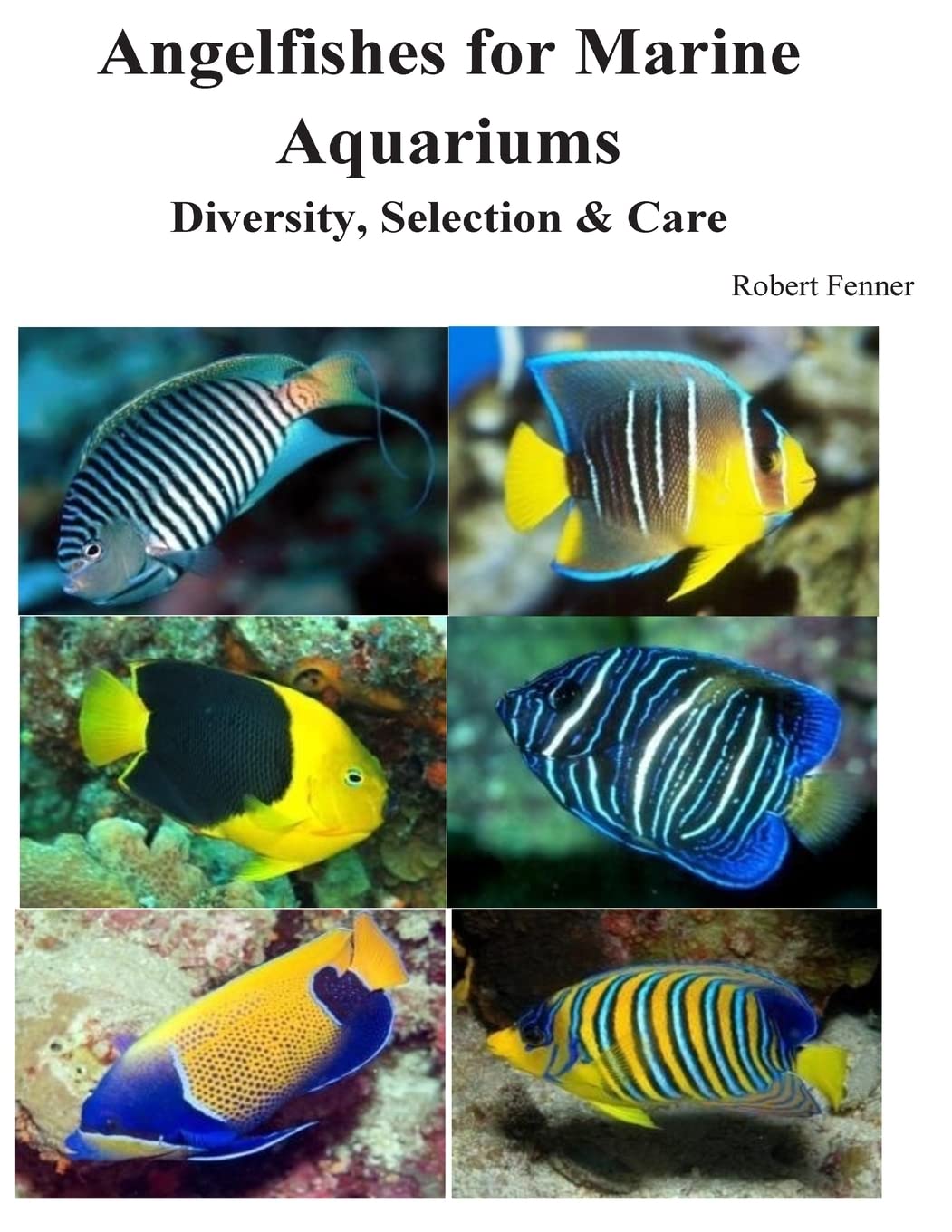 Angelfishes for Marine Aquariums: Diversity, Selection & Care Pets