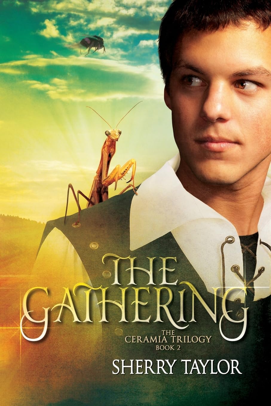 The Gathering: Book 2 in the Ceramia Trilogy (Ceramia Series, Band 2) Books
