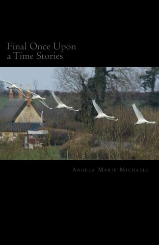 Final Once Upon a Time Stories (Catholic Once Upon a Time Series, Band 9) Contemporary literature