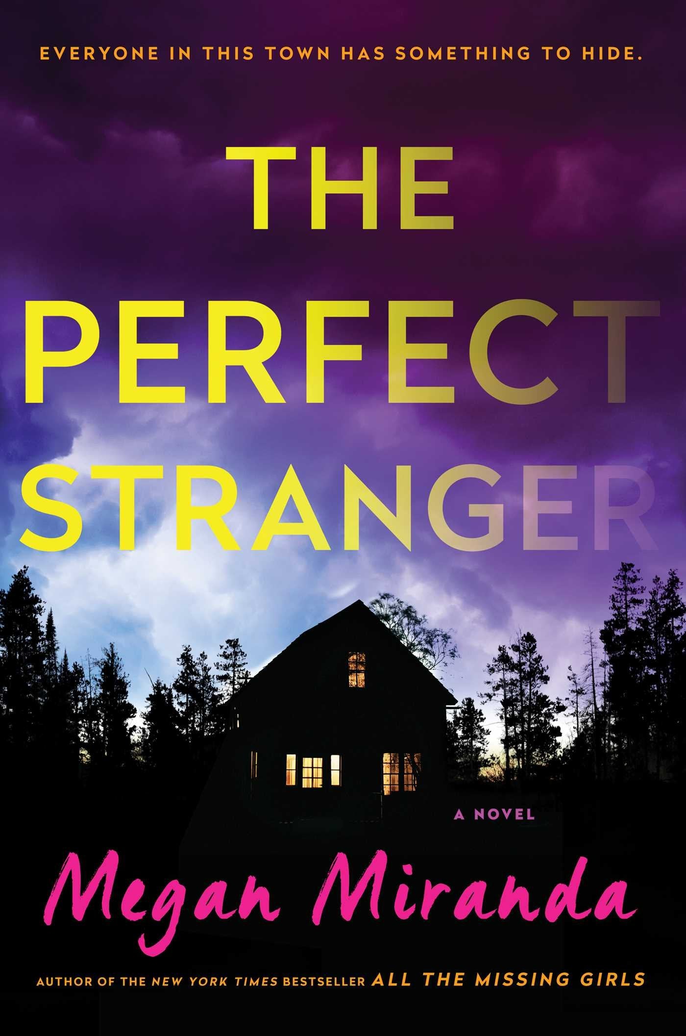 The Perfect Stranger: A Novel Poetry