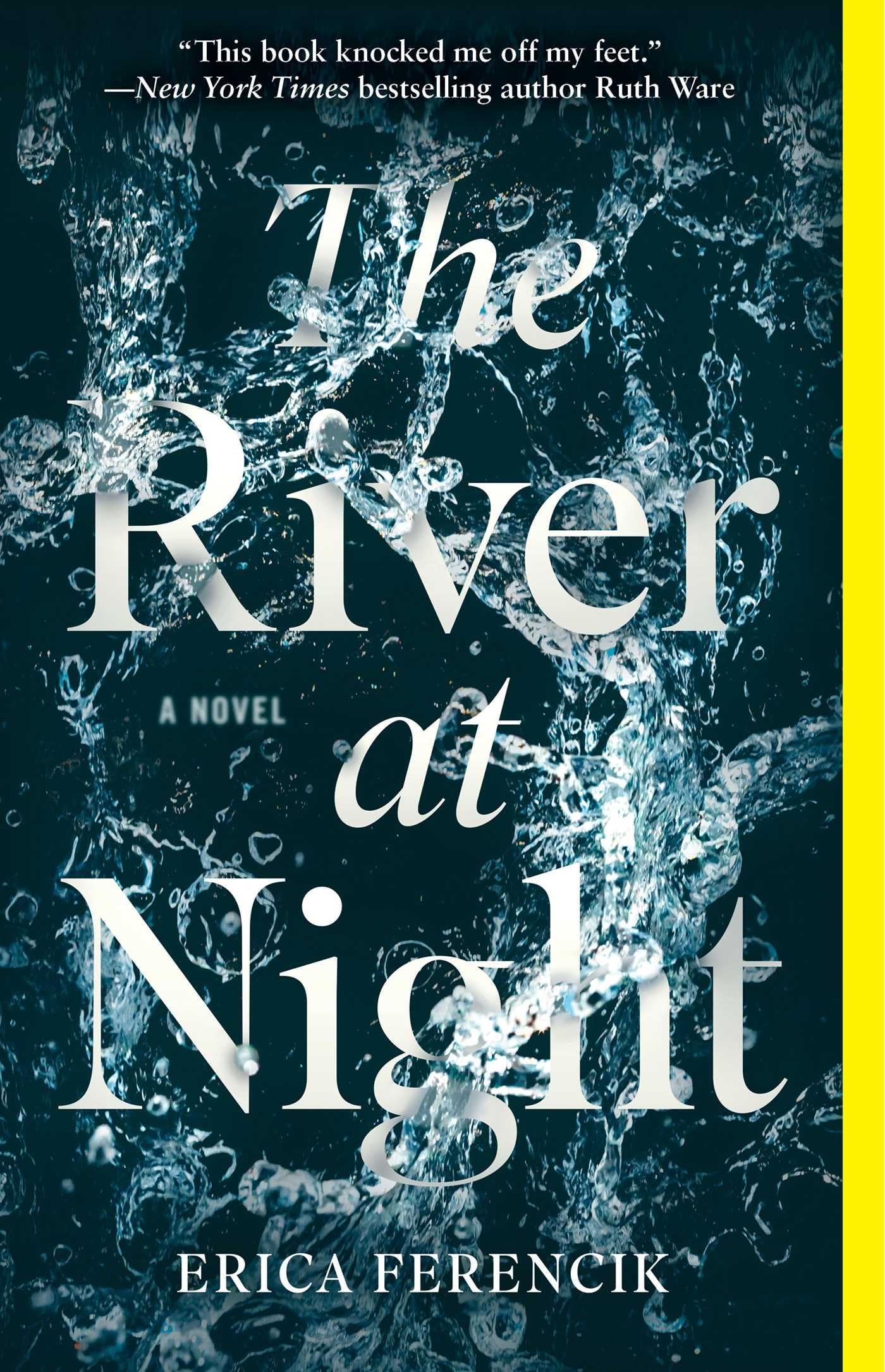 The River at Night: A Novel Contemporary literature