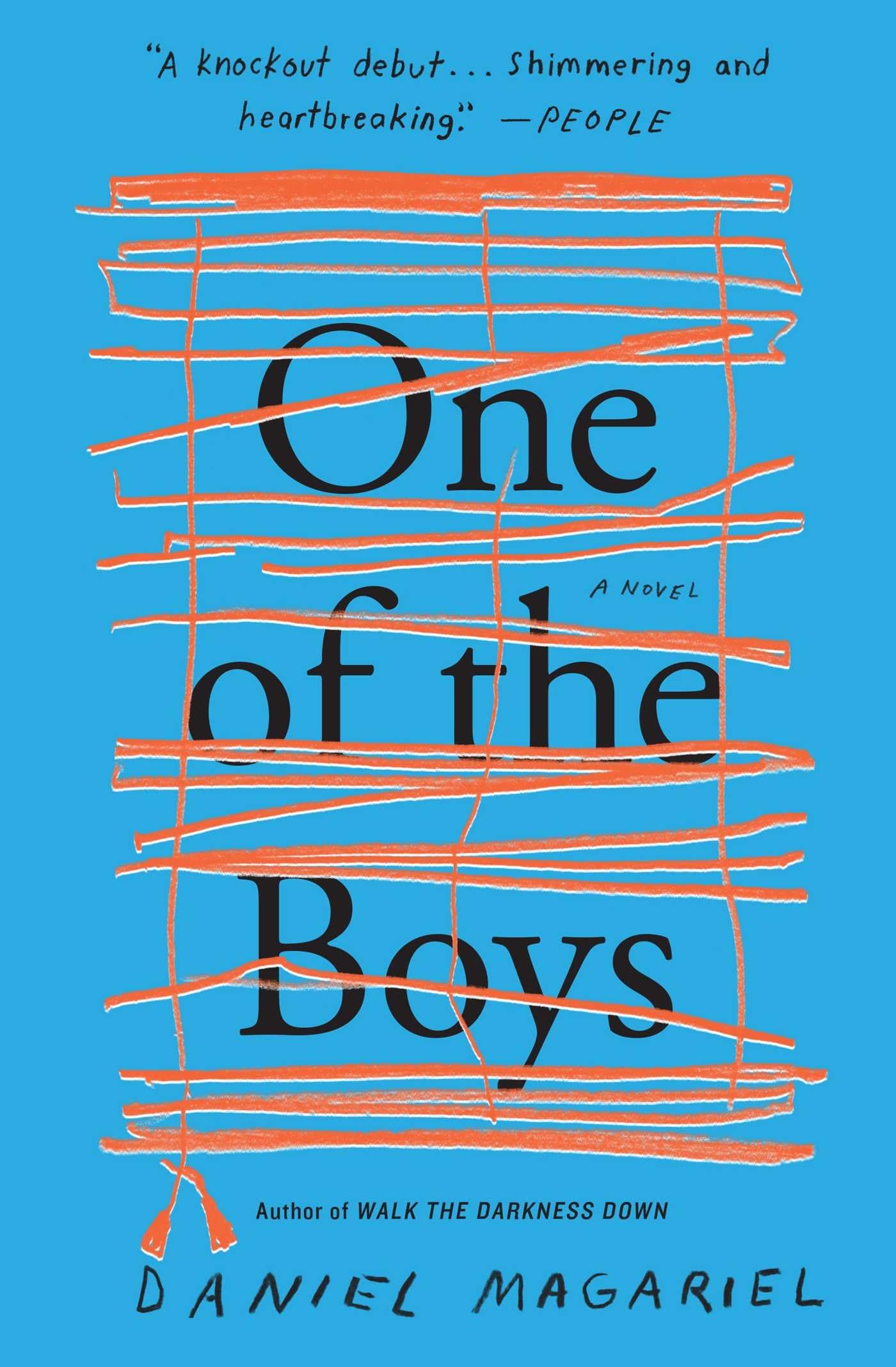 One of the Boys: A Novel book