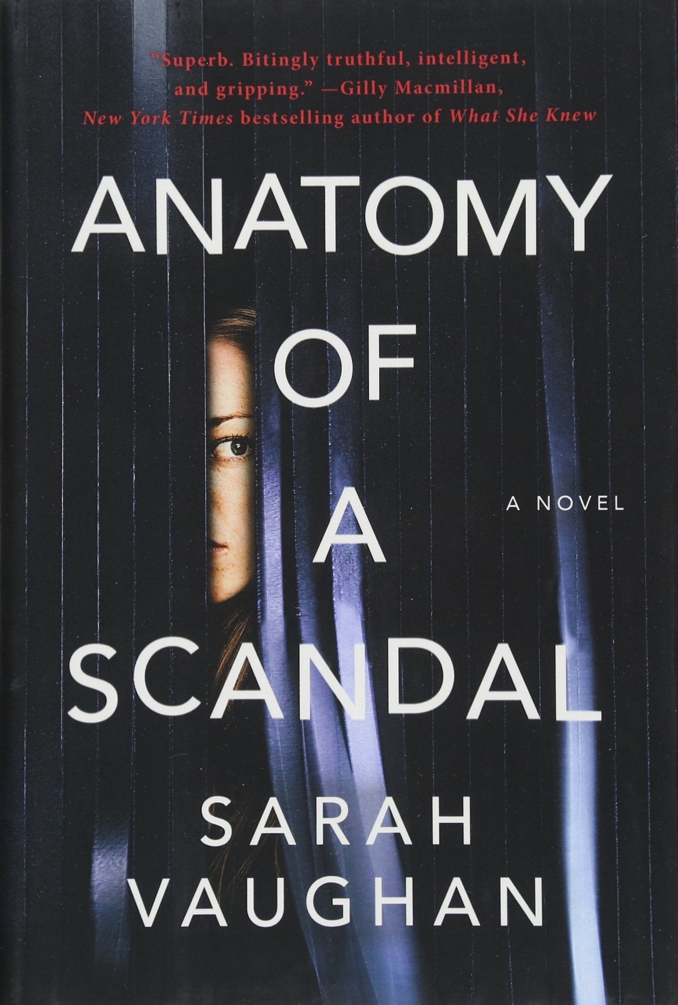 Anatomy of a Scandal: A Novel book