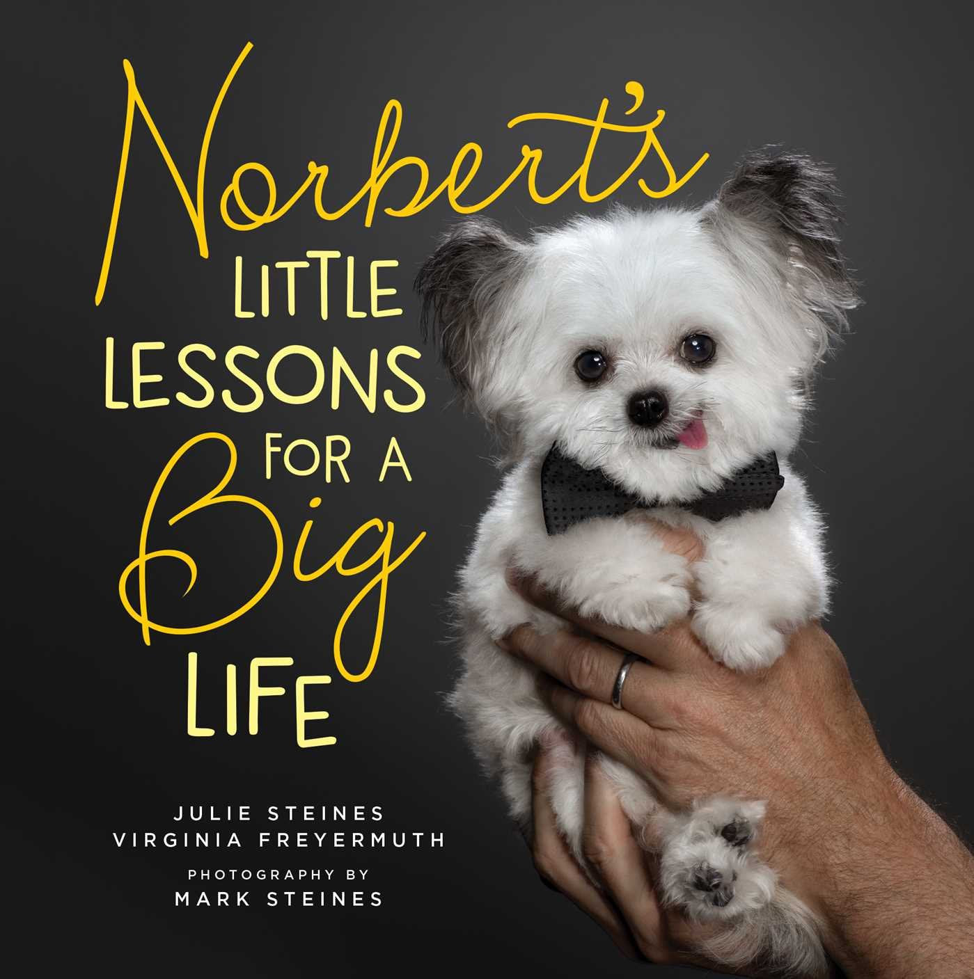 Norbert's Little Lessons for a Big Life book