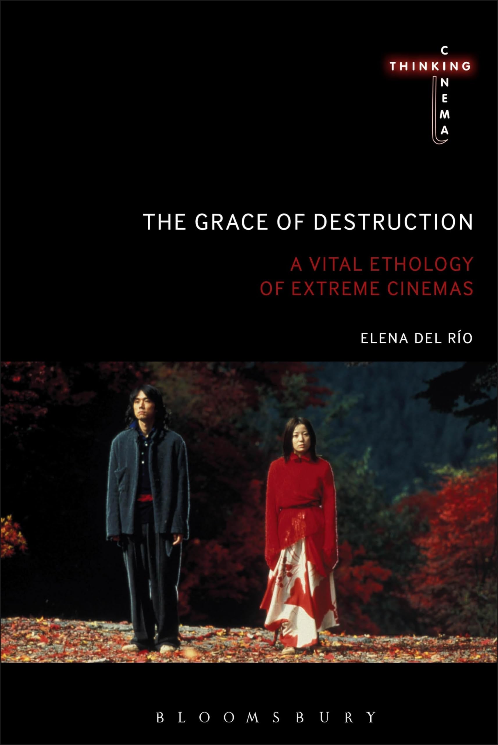 The Grace of Destruction Philosophy