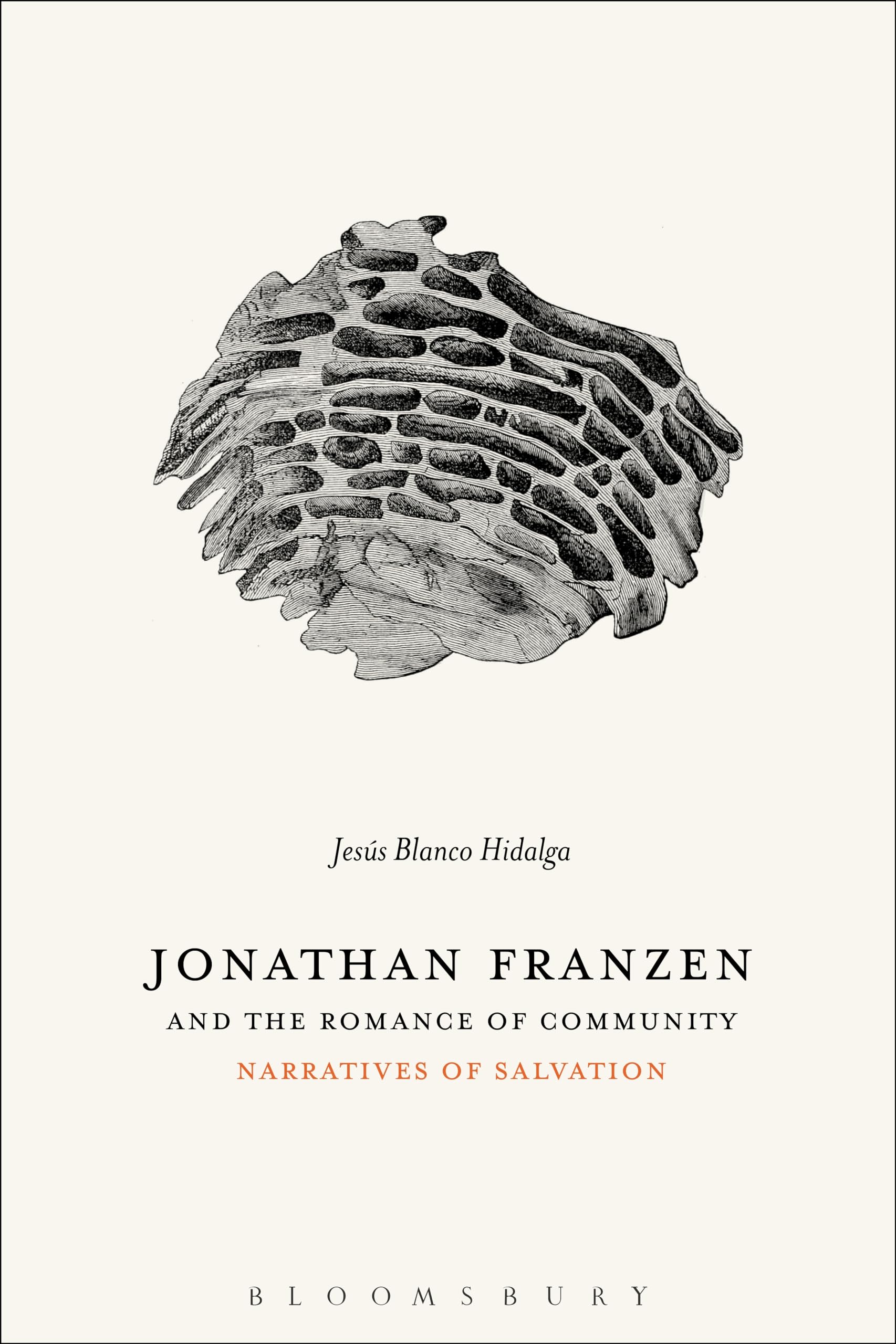 Jonathan Franzen and the Romance of Community Contemporary literature