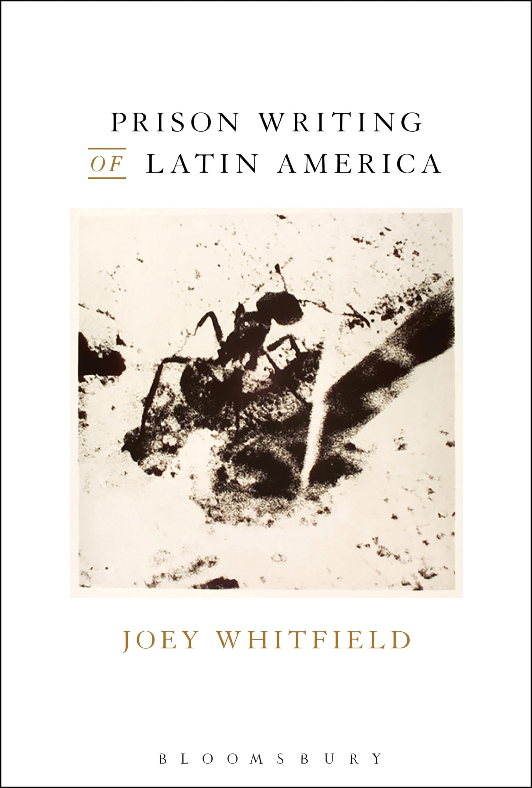Prison Writing of Latin America Social Sciences