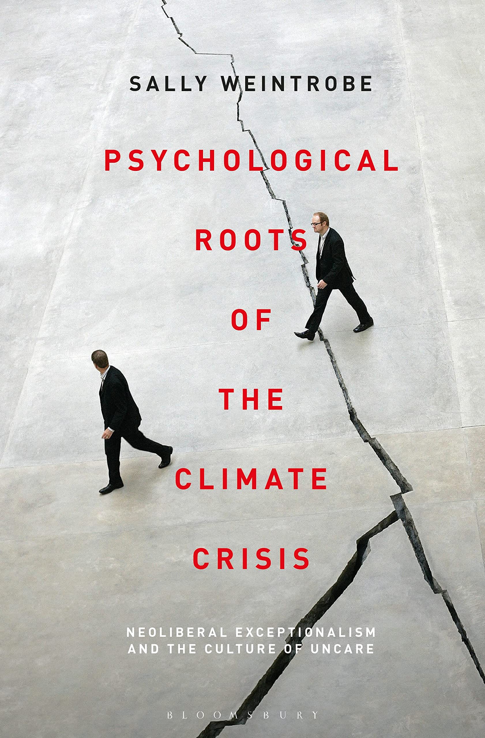 Psychological Roots of the Climate Crisis Contemporary literature