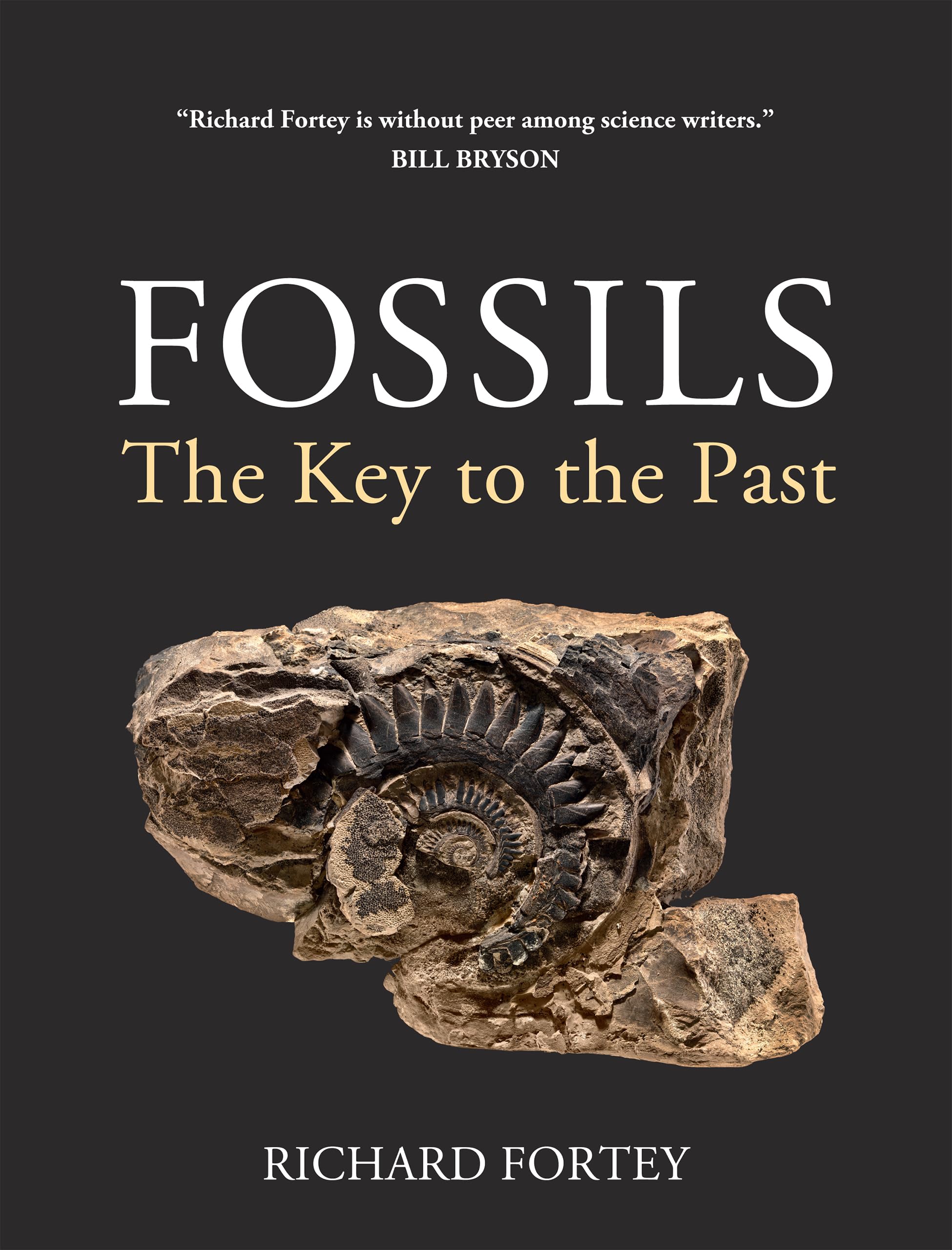 Fossils: The Key to the Past Mathematics