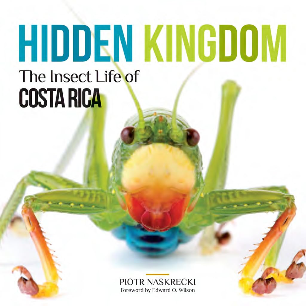 Hidden Kingdom: The Insect Life of Costa Rica (Zona Tropical Publications) Mathematics