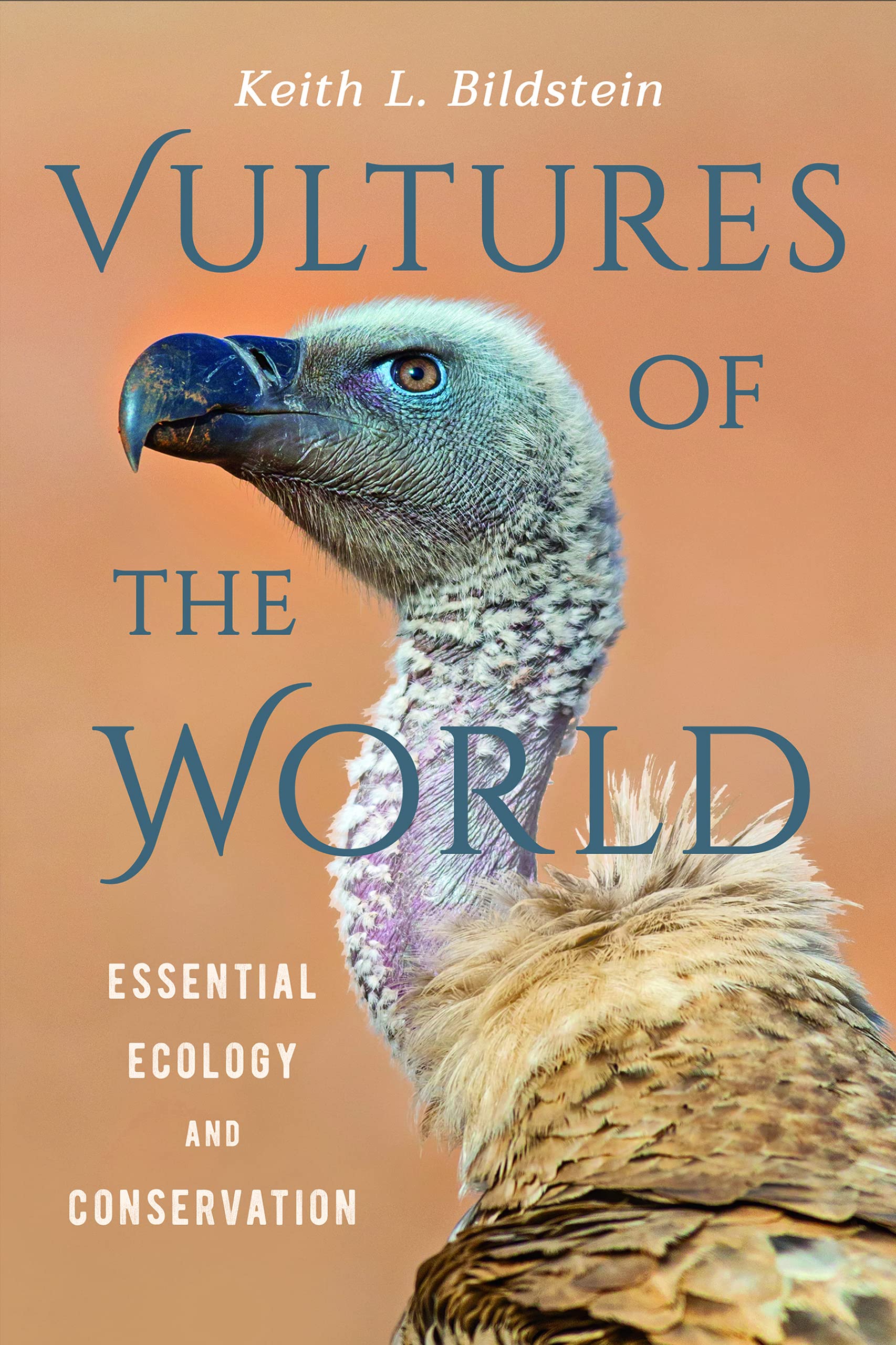 Vultures of the World: Essential Ecology and Conservation Mathematics