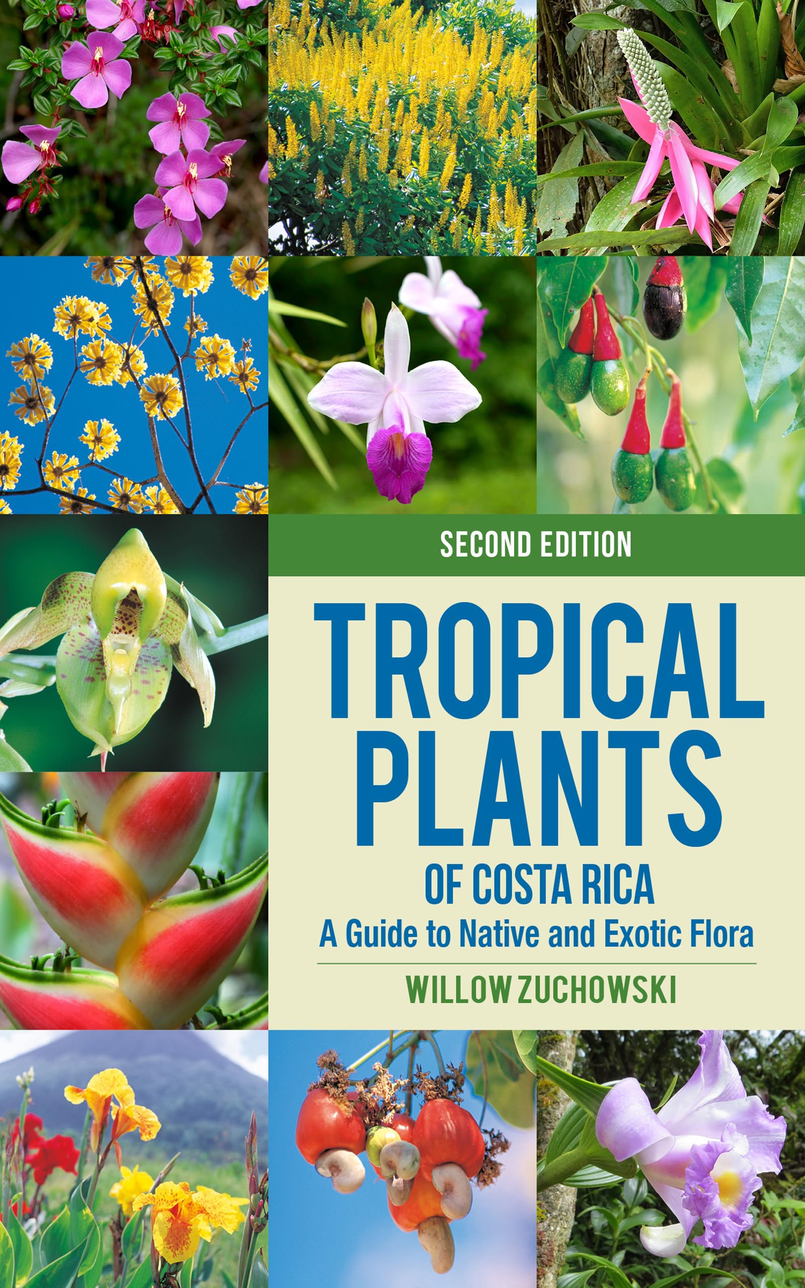 Tropical Plants of Costa Rica: A Guide to Native and Exotic Flora (Zona Tropical Publications) Mathematics