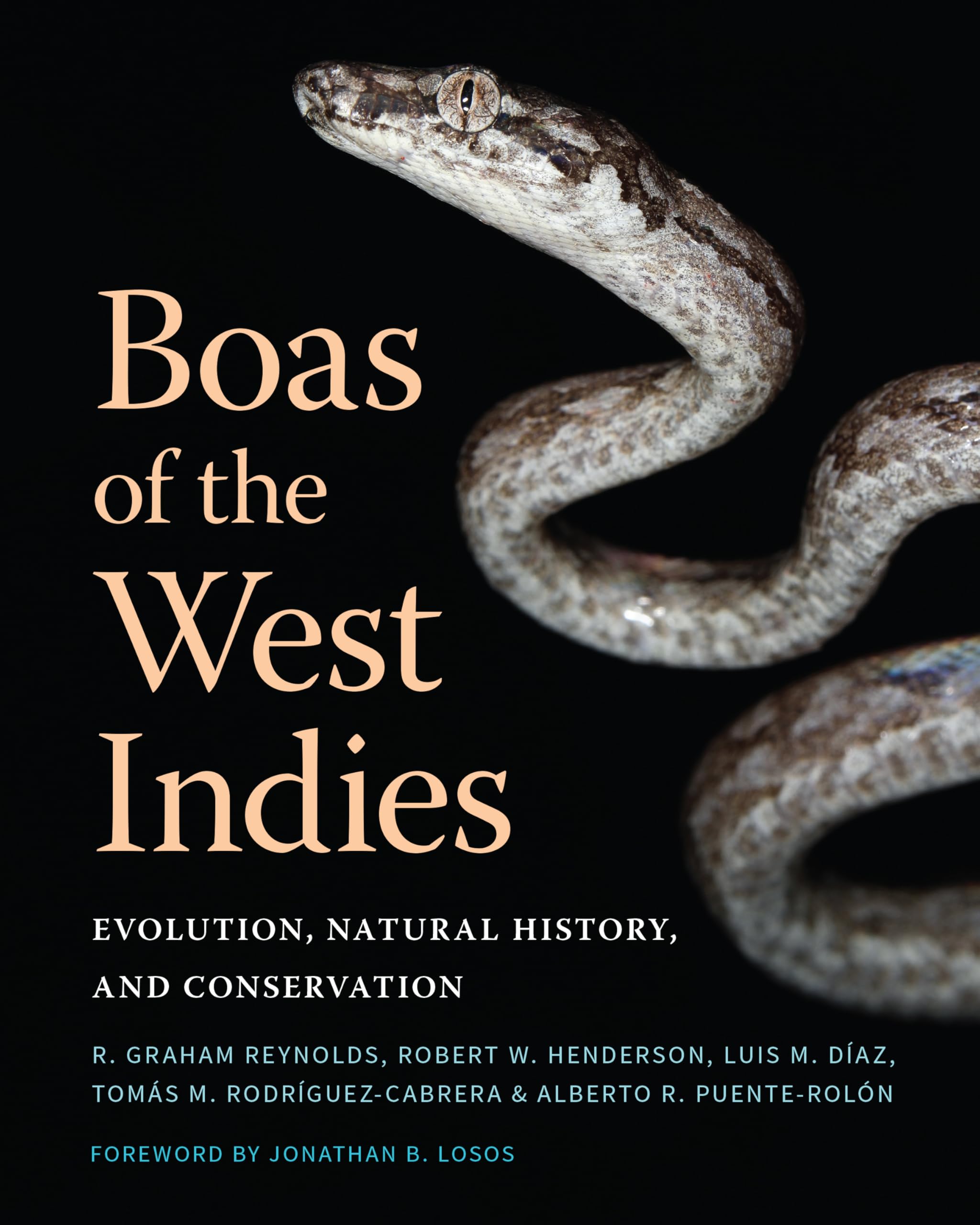 Boas of the West Indies: Evolution, Natural History, and Conservation Mathematics