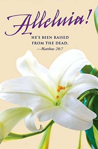 He's Been Raised Lilies Easter Bulletin 2016, Pkg of 50 Religion & Esotericism