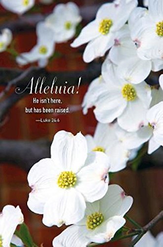 He Isn't Here Dogwood Easter Bulletin (Pkg of 50) Film, Art & Culture