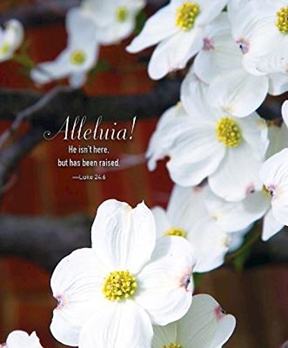 He Isn't Here Dogwood Easter Bulletin, Large (Pkg of 50) Film, Art & Culture